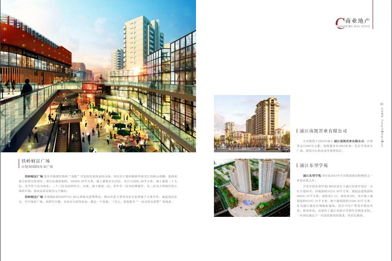 上海阜興實業(yè)集團畫冊設計圖片